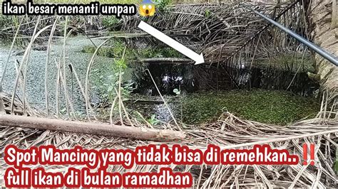 Mancing Ikan Di Spot Seram Sawitan Pt Scp Suryamas Cipta Perkasa