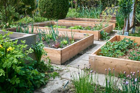 Rahmenbeete Selbst Bauen Viele Tipps Zur Planung