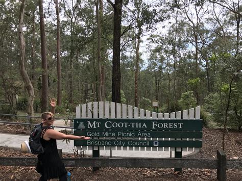 Mt Coot Tha Forest Updated August Sir Samuel Griffith Dr