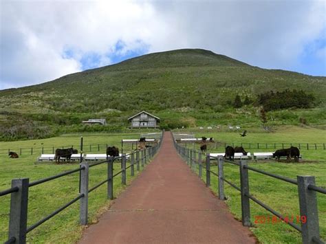 Hachijo Fuji (Hachijo-jima) - 2020 All You Need to Know BEFORE You Go ...