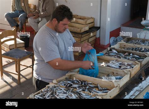 Greece Zakynthos Zante Greek Island October Fish Being Sold