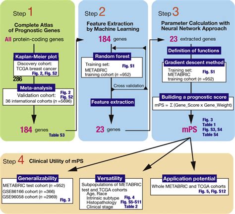 A Genebased Molecular Prognostic Score Precisely Predicts Overall