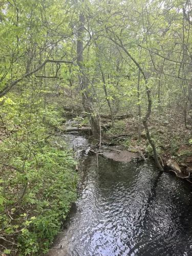 Best Waterfall Trails In Sulphur Alltrails