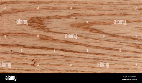 American Oak Texture