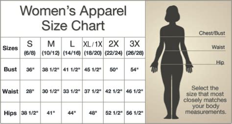 Women Clothing Size Chart USA Sizes 3X To XS, 41% OFF