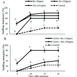 The Effects Of Different Concentrations Of Cytokinin BA Alone A Or