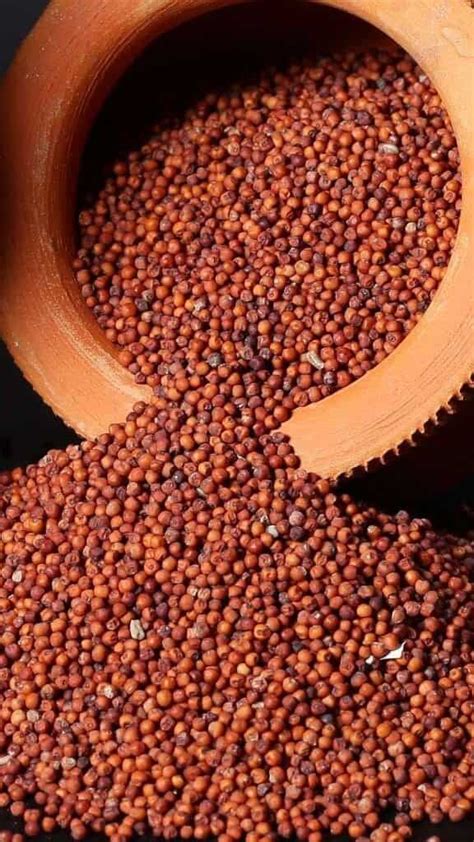 Health Benefits Of Eating Ragi