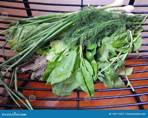 Veh Culos Verdes Fije De Diversas Verduras Verdes Estacionales Imagen