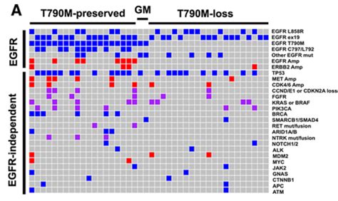 Landscape of EGFR-Dependent and -Independent Resistance Mechanisms to ...