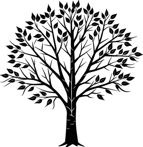 A black and white birch Tree Silhouette with leaves 46846205 Vector Art ...