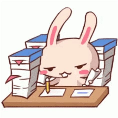 Bunny Busy Homework While Raising Eyebrows 