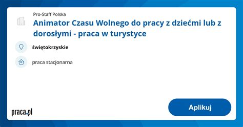 Archiwalna oferta nr 992234 Animator Czasu Wolnego do pracy z dziećmi