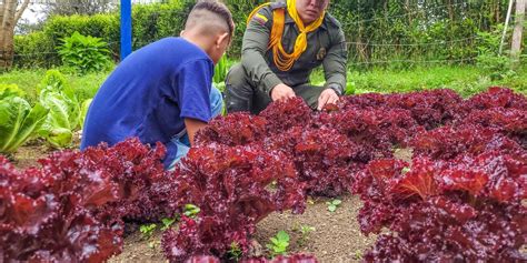 En Itagüí Policía impuso proyecto Autosostenible con niños de la