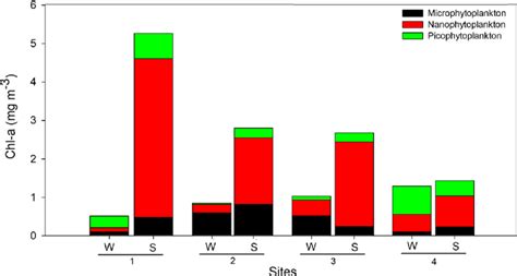 Size Fractionated Chlorophyll A Concentration Mg L −1 Measured From Download Scientific