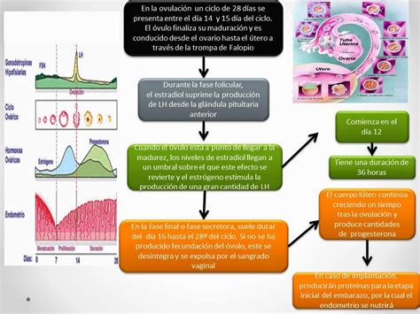 El Blog De Fisiologia De Israel Aramburo Lucas Exposicion Eje 80764 Hot Sex Picture