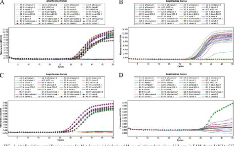 Figure 1 from Real-Time PCR Diagnostic Assay for Identification ...