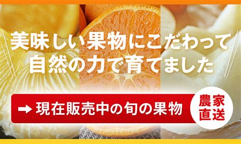 ポンカン無農薬・無肥料の熊本県天草産自然栽培ポンカン 九州・熊本で無農薬・自然栽培果物に挑戦自然果樹園