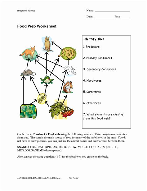 50 Food Web Worksheet Pdf