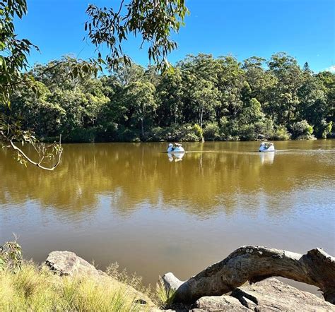 Things to Do in Lake Parramatta Reserve