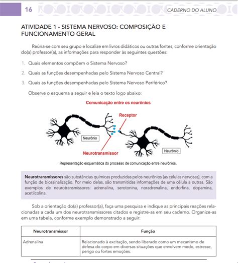 Atividades Sobre Sistema Nervoso 6 Ano Gabarito EDUKITA