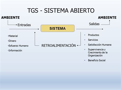 Teor A General De Sistemas Ludwin Von Bertalanffy