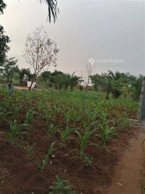 Terrains Terrain à Adetikopé au Togo CoinAfrique Togo