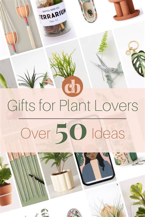 Over 50 T Ideas For Plant Lovers Plant Lover Plant Lover T