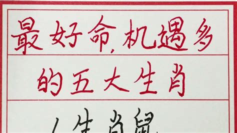 老人言：最好命，机遇多的五大生肖 硬笔书法 手写 中国书法 中国語 毛笔字 书法 毛笔字練習 老人言 派利手寫 Youtube