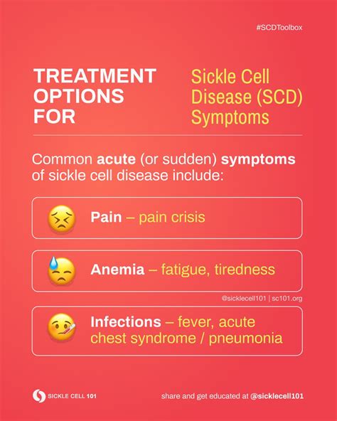 Sickle Cell Anemia Treatment Options