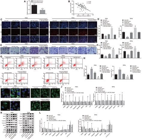 Circular RNA Hsa Circ 0000515 Acts As A MiR 326 Sponge To Promote