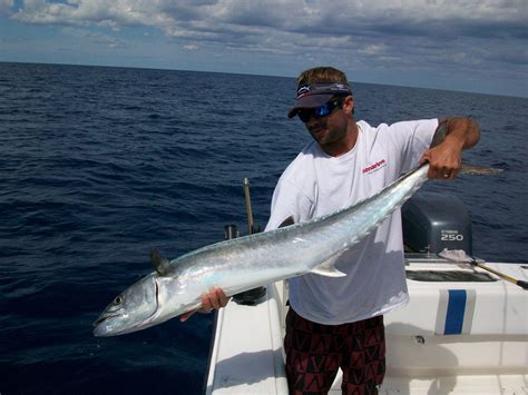 King Mackerel Fishing Clearwater FL | FishEye Sportfishing