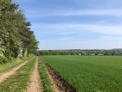 VILLAGE WALKS Swanton Morley Parish Council