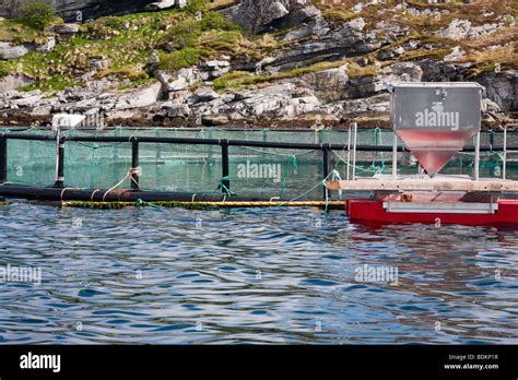 Fish farming with cage systems Stock Photo - Alamy