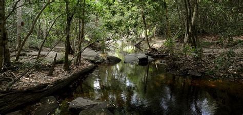 Visit The Thousand Linga River Of Kbal Spean And The Enchanting Banteay