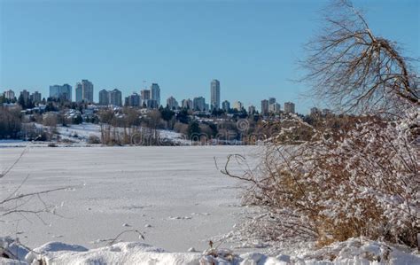 Deer Lake during Winter Vancouver, Canada Jan 2017 Stock Photo - Image ...