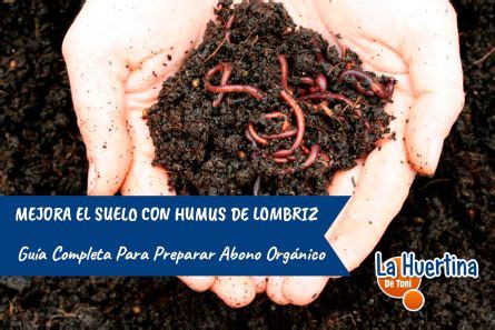 Humus De Lombriz C Mo Hacer Humus De Lombriz Gu A Completa