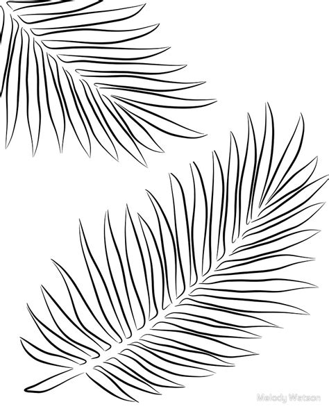 Dessin Minimaliste De Dessin Au Trait De Feuilles De Palmier Par