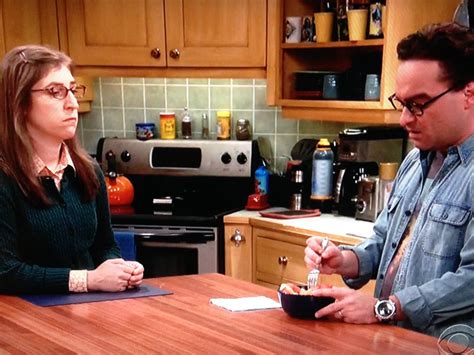 The Big Bang Theory Recap S10e04 The Cohabitation Experimentation