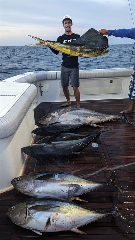 Puerto Vallarta May Fishing Report 2023 Puerto Vallarta Fishing Charters