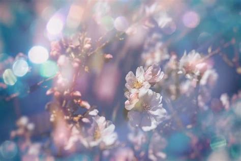 Pastel Spring Stock Photos, Images and Backgrounds for Free Download