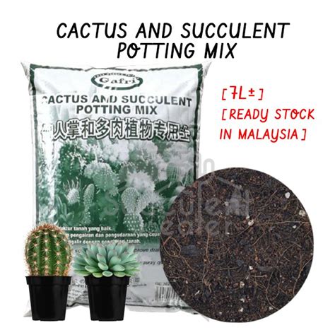 L Cactus Succulent Potting Mix Soil Gafri Tanah Campuran Cacti