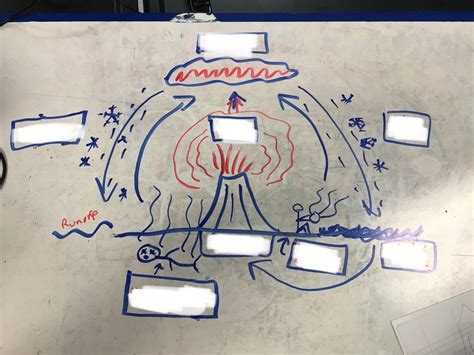 Sulfur Cycle Diagram | Quizlet