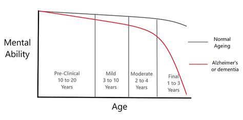 The Stages of Alzheimer's and Dementia? | Alzheimer's Organization