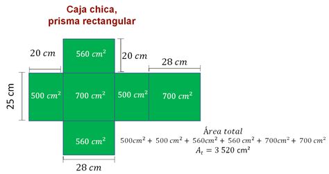 El Desarrollo Plano Del Cilindro Nueva Escuela Mexicana Digital