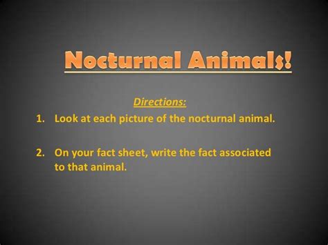 Nocturnal Animal Facts