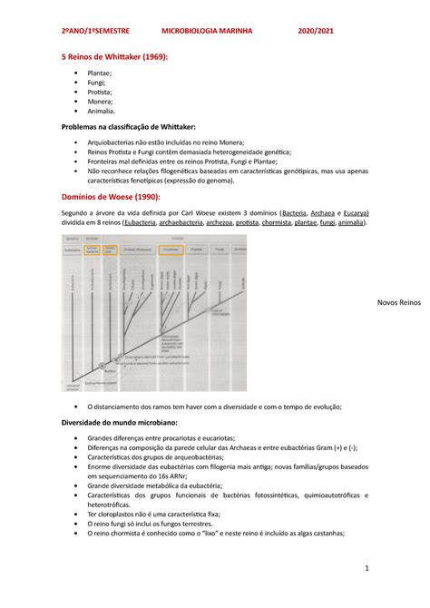 Resumos Mini Teste Reinos De Whittaker Plantae Fungi