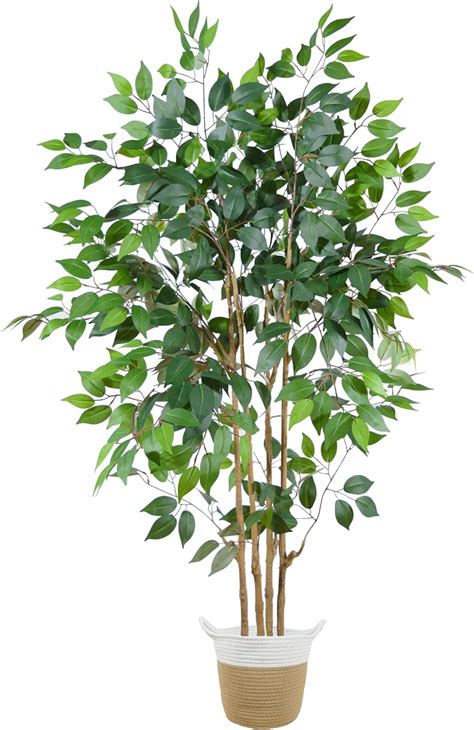 Amazon Warmplants Artificial Ficus Tree 5ft Tall Silk Fake Ficus