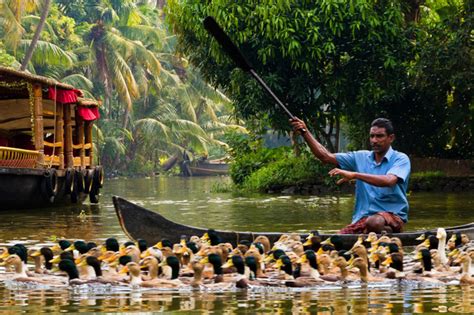 Alappuzha Boathouse, Alappuzha Boat House, Alappuzha Homestays ...