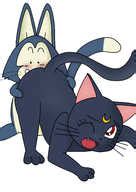 Post Crossover Dragon Ball Series Luna Puar Sailor Moon