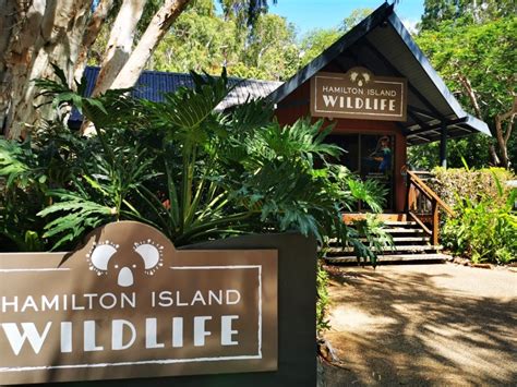 Visiter Hamilton Island Dans Les Whitsundays Australie Guide